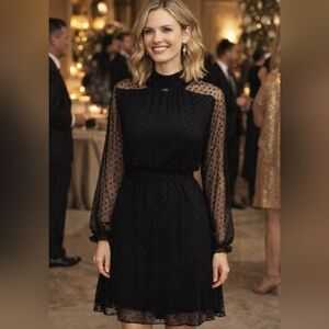 NWT Black Chiffon Dress Size S Dotted Swiss Cute Goth Victorian Castle  Lined